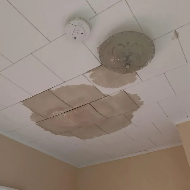 Ceiling Water Damage Repair in Gordonsville, TN