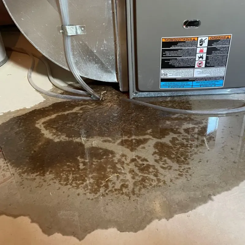Pipe Burst and Leak Restoration in Gordonsville, TN
