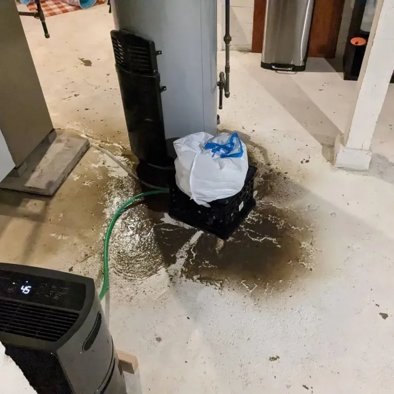 Sewage Backup Cleanup Service in Gordonsville, TN